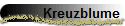 Kreuzblume